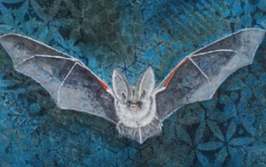 tinski, The Bureaucracy of Instinct @DEZENTRALE Strem